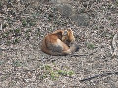 -石家庄市动物园