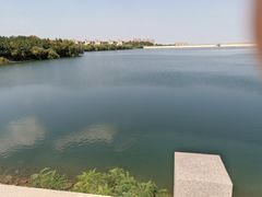 -渔家小院观海海肠捞饭地方菜(环海中路店)