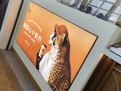 -贵阳龙洞堡国际机场-T2航站楼