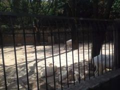 -昆明动物园