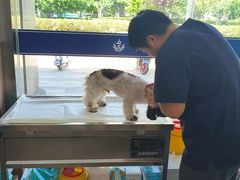 -申普宠物医院·眼科·心内科·影像科(普陀分院)