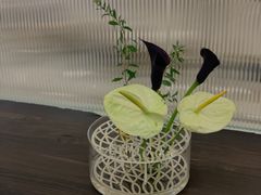 -MaisonJoseph家具买手店(滨江店)
