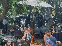 -Fern Forest Cafe