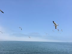 -悦海公园