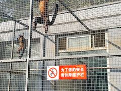 -保定市动物园