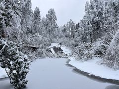 -龙苍沟森林公园