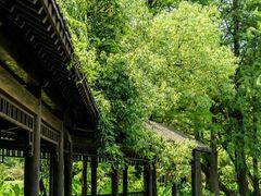 -东湖落雁景区