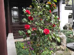 -苏州文旅花间堂·探花府酒店