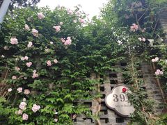 -T80科技文化国际社区-停车场