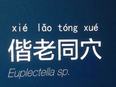 -中国（海南）南海博物馆
