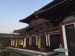 -西安华清御汤酒店