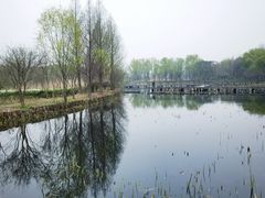 -昆山城市生态森林公园