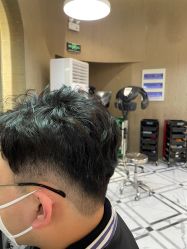 -LANGCHAO·浪潮黑鲸店