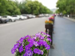 -湖州太湖旅游度假区-月亮广场