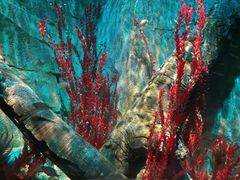 -沈阳海洋探索中心