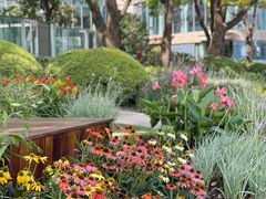 -北外滩滨江绿地