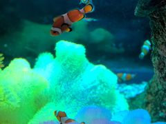 -沈阳海洋探索中心