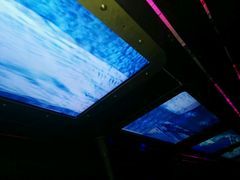 -海洋公园海洋列车－海滨站