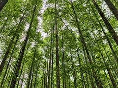 -山王坪喀斯特国家生态公园