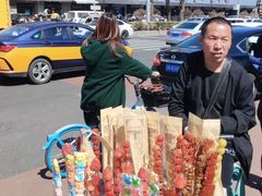 -洪记白水羊头(天坛店)