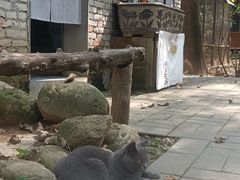 -林间山庄