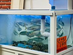 -西归浦每天偶来市场