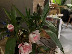 -施奈儿.洗头頭療.按摩SPA.采耳(上梅林店)