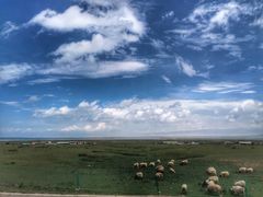 -青海湖国家重点风景名胜区售票处