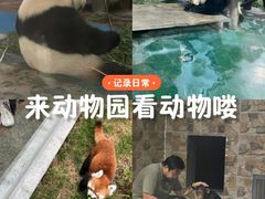 -成都动物园