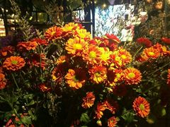 -胡桃里音乐餐厅(陶溪川店)(川湘赣菜·世界百大酒庄直供红酒·音乐表演)