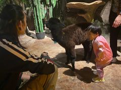 -zoonana室内动物园(东方福来德店)