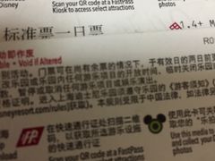 -迪士尼火鸡腿