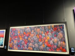 -罗红摄影艺术馆