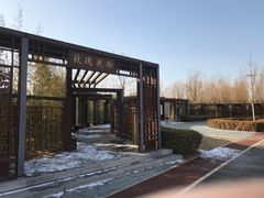 -坝河休闲公园