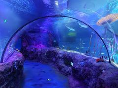 -沈阳海洋探索中心