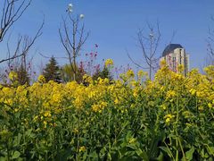 -江南大学(蠡湖校区)