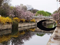 -海棠花溪(元大都城垣遗址公园)