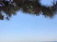 -山海一众流清河沙滩露营地·团建拓展·沙滩烧烤