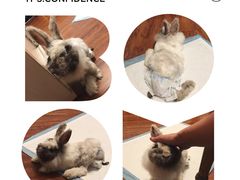 -雨林宠物医院 非犬猫异宠专科