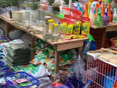 -曲阳花鸟市场(曲阳路店)