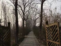 -溱湖国家湿地公园