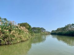 -大湾区中央湿地公园