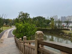 -江心屿景区