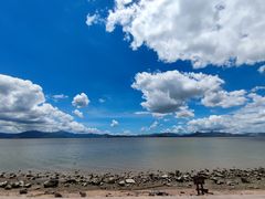 -深圳湾公园(南山区)