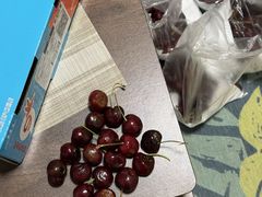 -双福水果批发市场