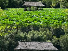 -兰亭风景区