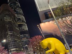 -深圳湾万象城(南山店)