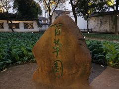 -绍兴鲁迅故里·沈园景区