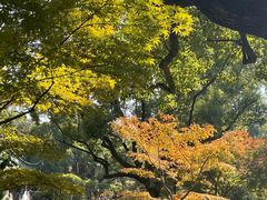 -申粤轩酒楼·三十年粤菜经典(丁香花园店)
