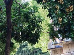 -Again Coffee Roaster(香蜜湖店)